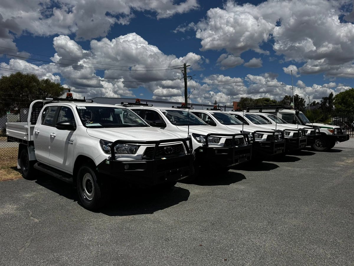 Row of fleet Hilux and LandCruiser utes fitted with beacons and bullbars